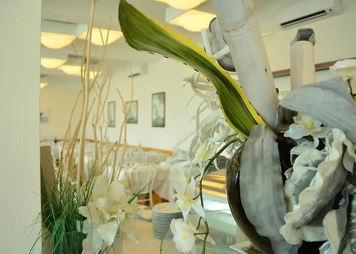 Delfino Отель 3*