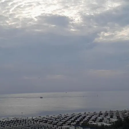 Delfino Milano Marittima